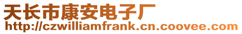天長市康安電子廠