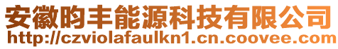 安徽昀豐能源科技有限公司
