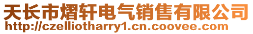 天長市熠軒電氣銷售有限公司