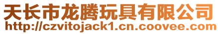 天長市龍騰玩具有限公司