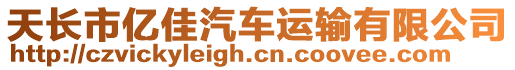 天長市億佳汽車運輸有限公司