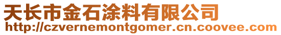 天長市金石涂料有限公司