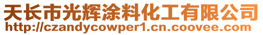 天長市光輝涂料化工有限公司
