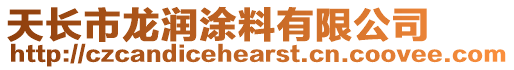 天長市龍潤涂料有限公司