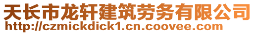 天長(zhǎng)市龍軒建筑勞務(wù)有限公司