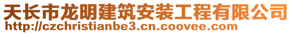 天長(zhǎng)市龍明建筑安裝工程有限公司