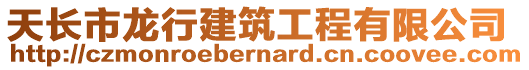 天長(zhǎng)市龍行建筑工程有限公司