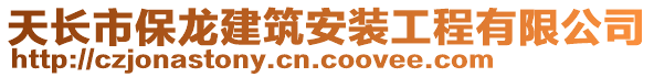 天長市保龍建筑安裝工程有限公司