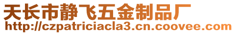 天長市靜飛五金制品廠