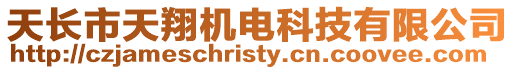 天長市天翔機電科技有限公司