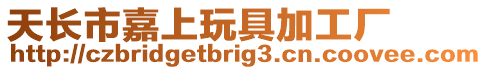 天長市嘉上玩具加工廠