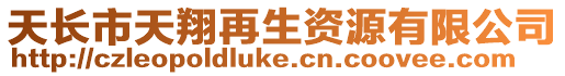 天長市天翔再生資源有限公司