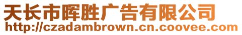 天長(zhǎng)市暉勝?gòu)V告有限公司