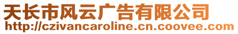 天長市風(fēng)云廣告有限公司