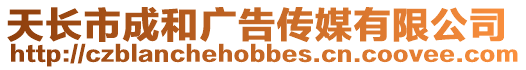 天長市成和廣告?zhèn)髅接邢薰? style=