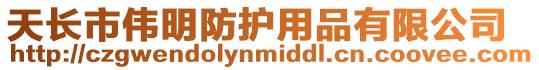天長市偉明防護用品有限公司