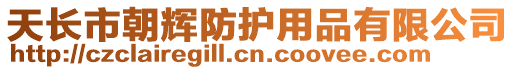 天長市朝輝防護用品有限公司