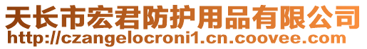天長市宏君防護(hù)用品有限公司