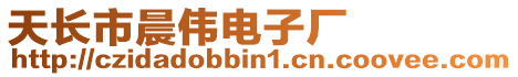 天長市晨偉電子廠