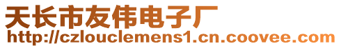 天長市友偉電子廠