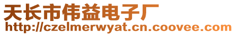 天長市偉益電子廠