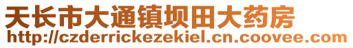 天長(zhǎng)市大通鎮(zhèn)壩田大藥房