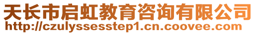 天長市啟虹教育咨詢有限公司