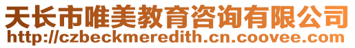 天長市唯美教育咨詢有限公司