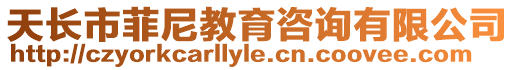 天長(zhǎng)市菲尼教育咨詢(xún)有限公司