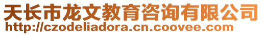 天長市龍文教育咨詢有限公司