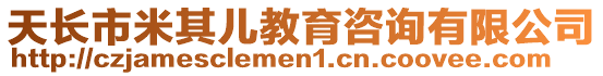 天長市米其兒教育咨詢有限公司