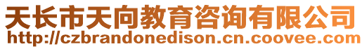 天長市天向教育咨詢有限公司
