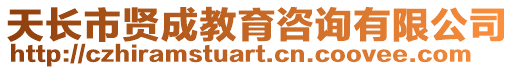 天長市賢成教育咨詢有限公司
