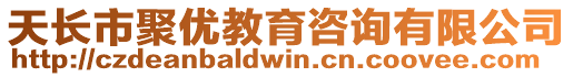 天長市聚優教育咨詢有限公司
