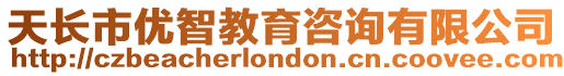 天長(zhǎng)市優(yōu)智教育咨詢有限公司