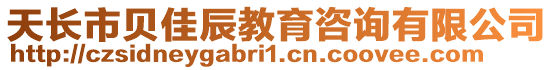 天長市貝佳辰教育咨詢有限公司