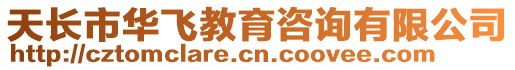 天長市華飛教育咨詢有限公司