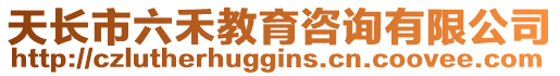 天長市六禾教育咨詢有限公司