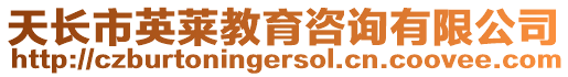天長市英萊教育咨詢有限公司