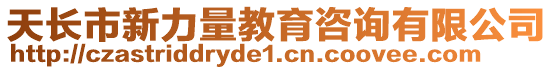 天長市新力量教育咨詢有限公司