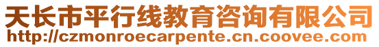 天長市平行線教育咨詢有限公司