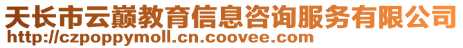 天長市云巔教育信息咨詢服務有限公司