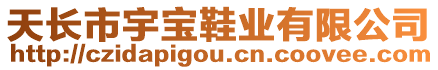 天長市宇寶鞋業(yè)有限公司