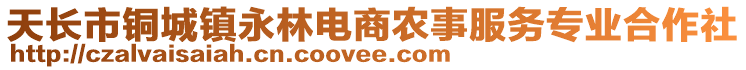 天長市銅城鎮(zhèn)永林電商農(nóng)事服務(wù)專業(yè)合作社