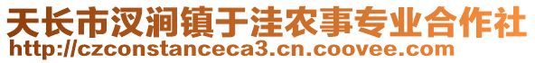 天长市汊涧镇于洼农事专业合作社