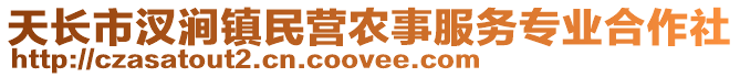 天长市汊涧镇民营农事服务专业合作社