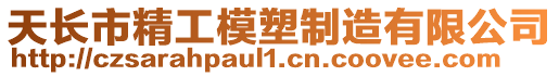 天長市精工模塑制造有限公司