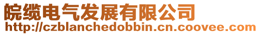 皖纜電氣發(fā)展有限公司
