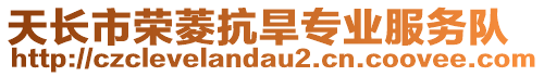 天長市榮菱抗旱專業(yè)服務隊