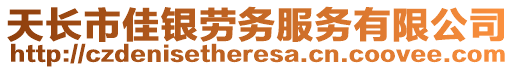 天長市佳銀勞務(wù)服務(wù)有限公司